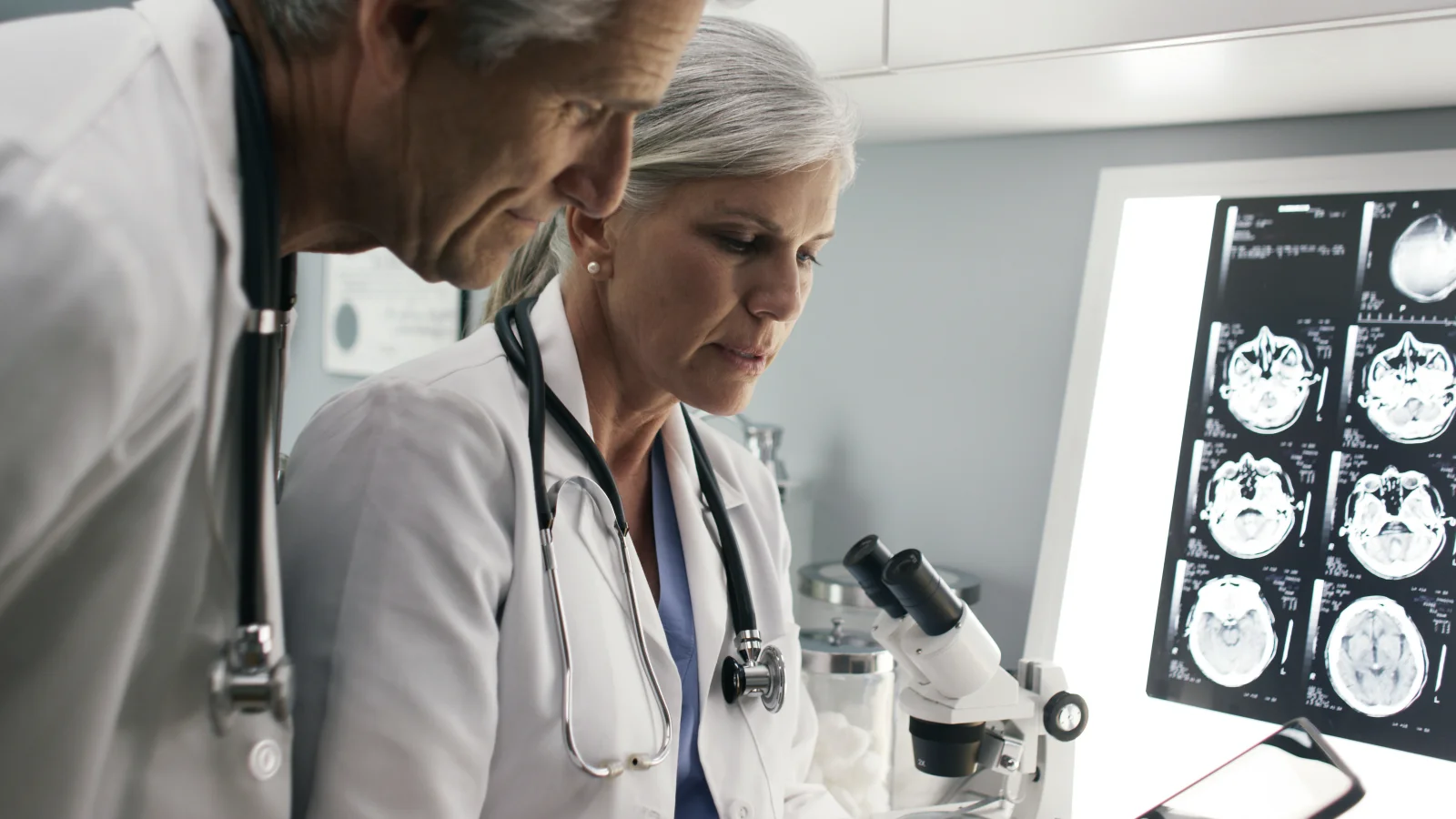 Meet the Researchers